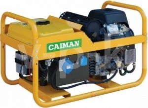Бензиновый генератор Caiman Leader 10500XL21 DE  для дачи Бензиновый генератор Caiman Leader 10500XL21 DE  для дачи фото