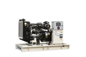 Дизельный генератор TEKSAN TJ90PE5L  Дизельный генератор TEKSAN TJ90PE5L  фото