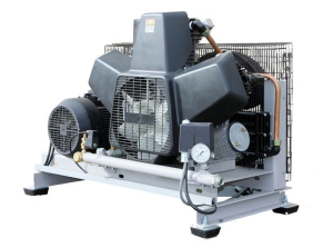 Поршневой компрессор Remeza СБ4-F110/14 без ресивера Поршневой компрессор Remeza СБ4-F110/14 без ресивера фото