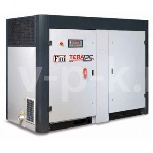 Винтовой компрессор Fini TERA SD 10008 STC Винтовой компрессор Fini TERA SD 10008 STC фото