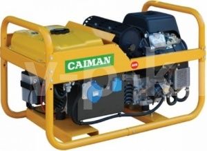 Бензиновый генератор Caiman Leader 12500XL21 DE AVR  для дачи Бензиновый генератор Caiman Leader 12500XL21 DE AVR  для дачи фото