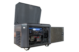 Бензиновый генератор ТСС SGG 5000EHNA в кожухе 1200 110104 фото