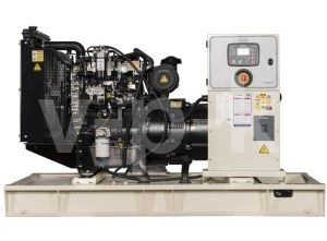 Дизельный генератор TEKSAN TJ50PE-1 LEROY SOMER  Дизельный генератор TEKSAN TJ50PE-1 LEROY SOMER  фото