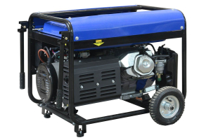 Бензиновый генератор ТСС PRO GGW 3.0/250E-R 022832 синхронный фото