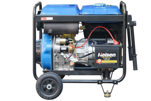 Дизельный генератор ТСС SDG 7000EHA с АВР 033540 фото