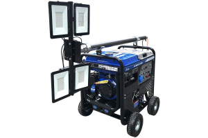 Бензиновый генератор ТСС WALGG 5.0/200E 027655 портативный фото