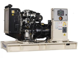 Дизельный генератор TEKSAN TJ50PE-1 CROMPTON  Дизельный генератор TEKSAN TJ50PE-1 CROMPTON  фото